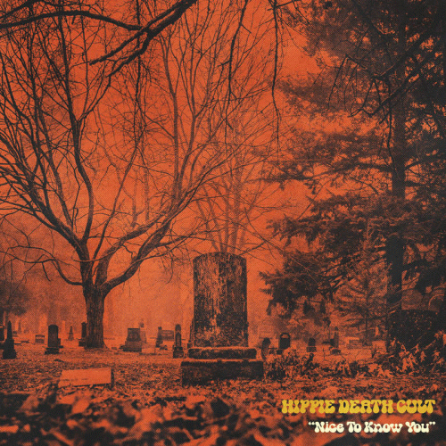 Hippie Death Cult : Nice to Know You